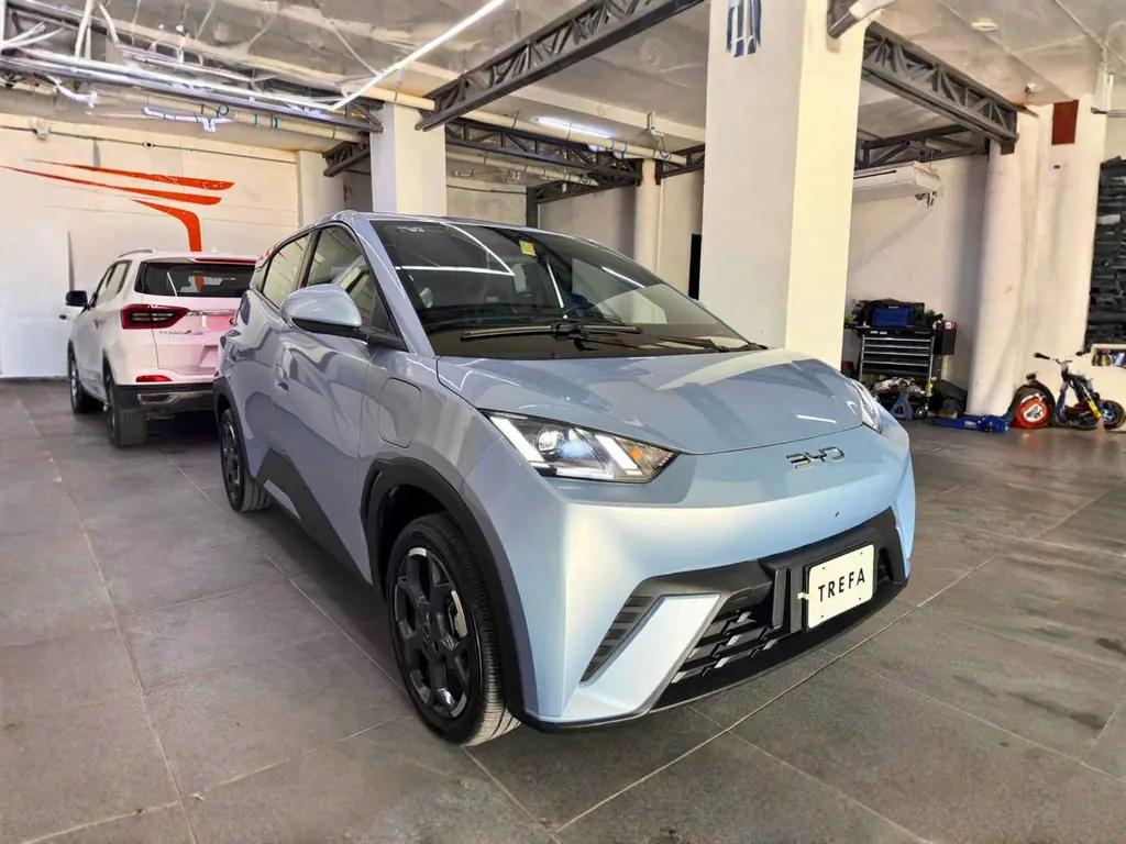 BYD Dolphin Mini Plus EV 2026